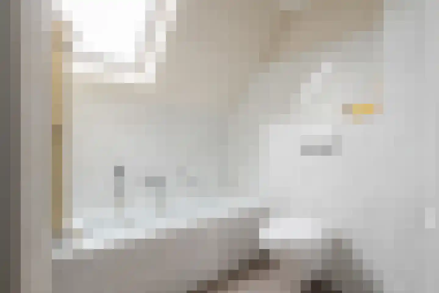 Penningkruid 91 Cuijk thumbnail 19