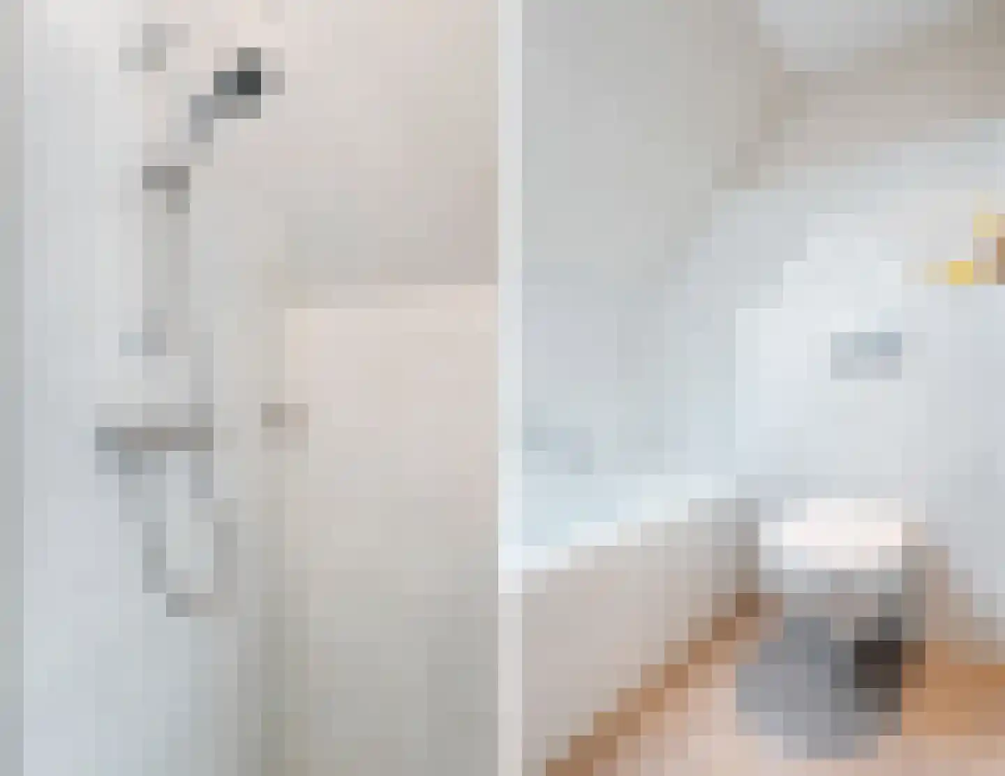 Penningkruid 91 Cuijk thumbnail 21