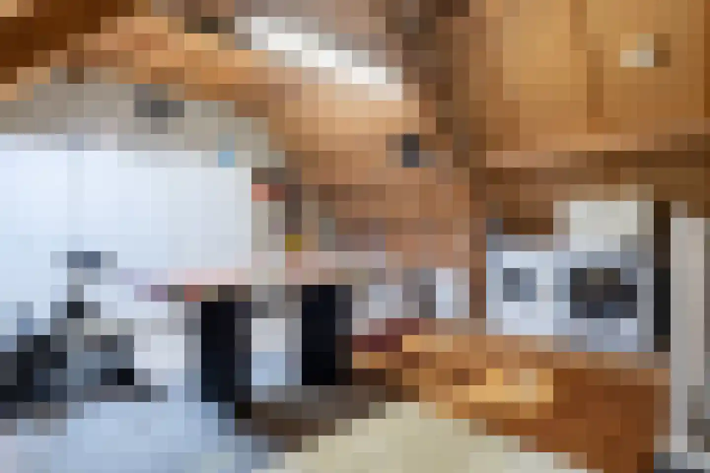 Penningkruid 91 Cuijk thumbnail 22