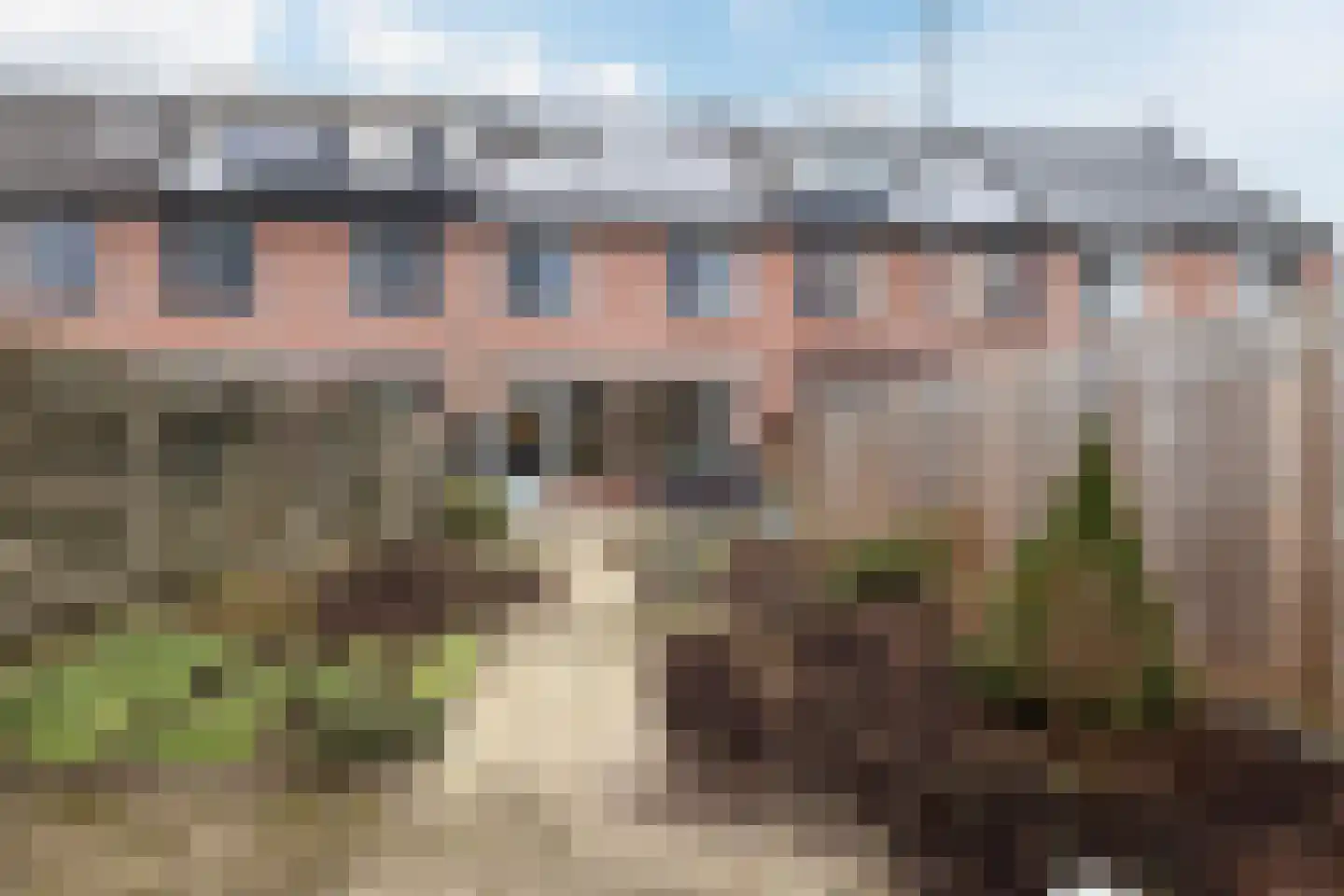 Penningkruid 91 Cuijk thumbnail 25