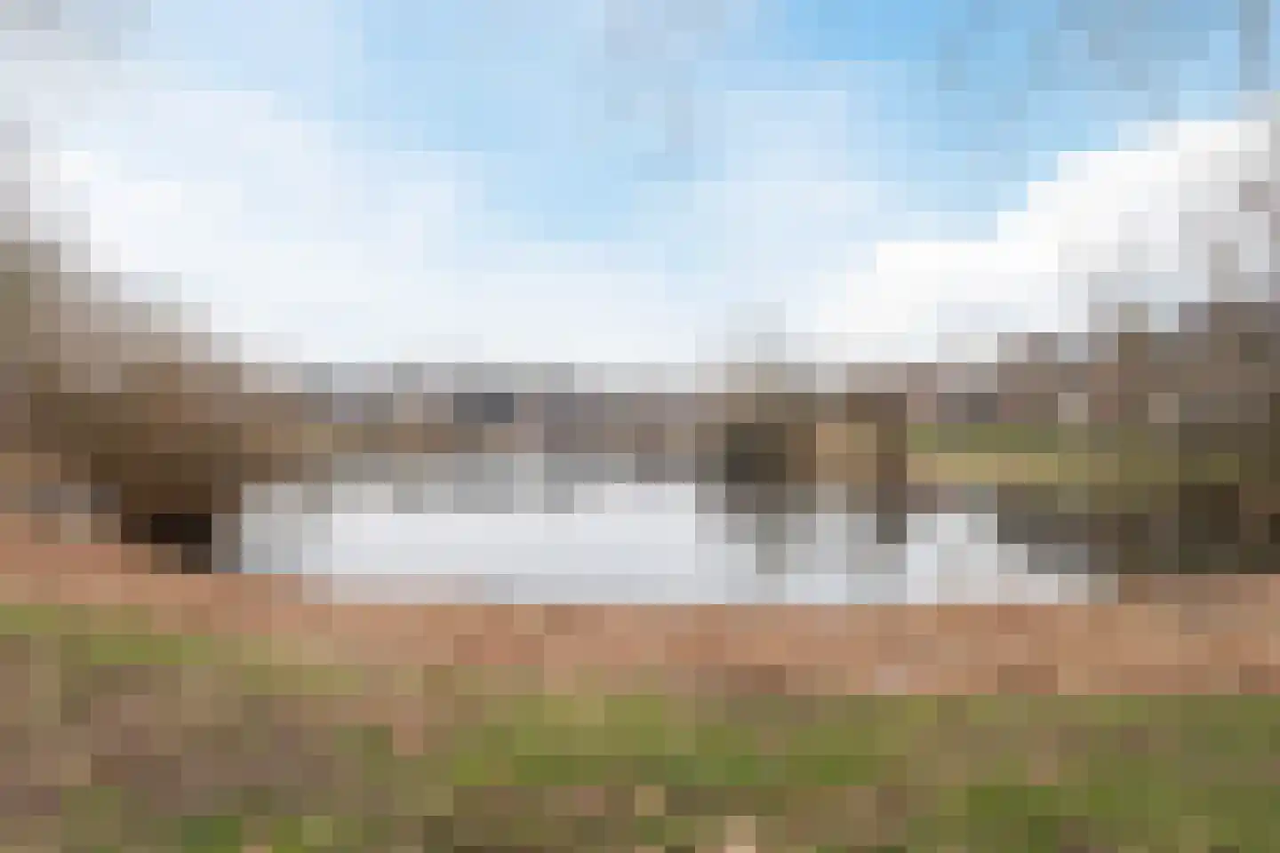 Penningkruid 91 Cuijk thumbnail 26