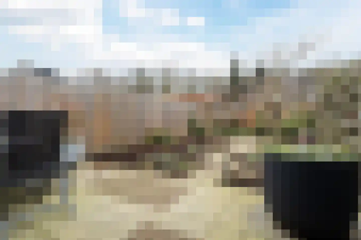 Penningkruid 91 Cuijk thumbnail 4