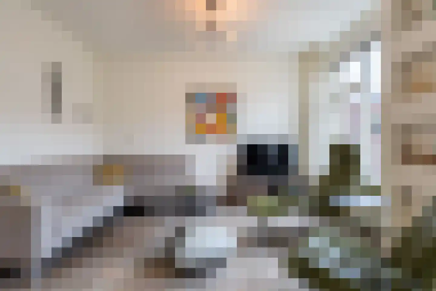 Penningkruid 91 Cuijk thumbnail 7