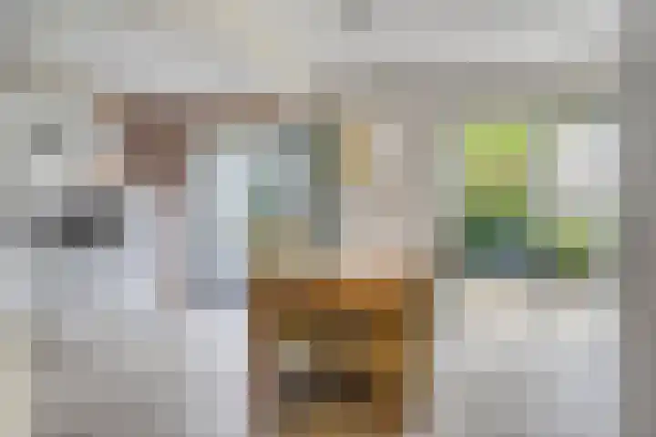Penningkruidlaan 12 Enschede thumbnail 11