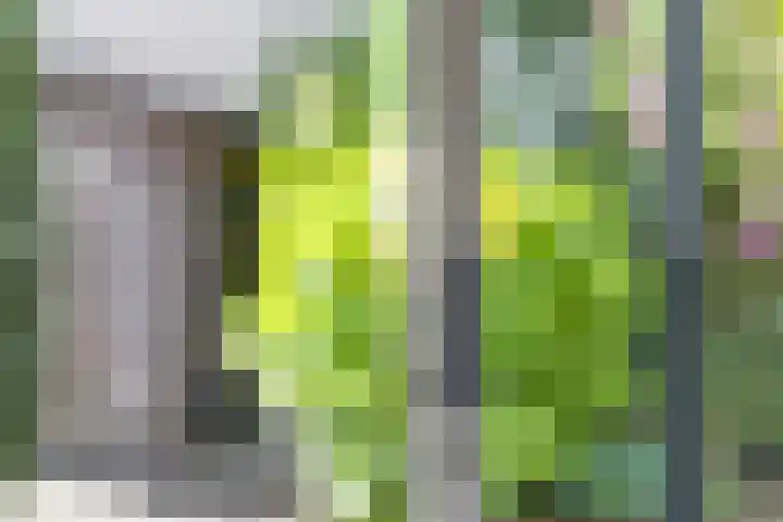 Penningkruidlaan 12 Enschede thumbnail 15