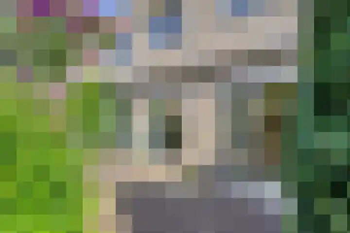 Penningkruidlaan 12 Enschede thumbnail 27