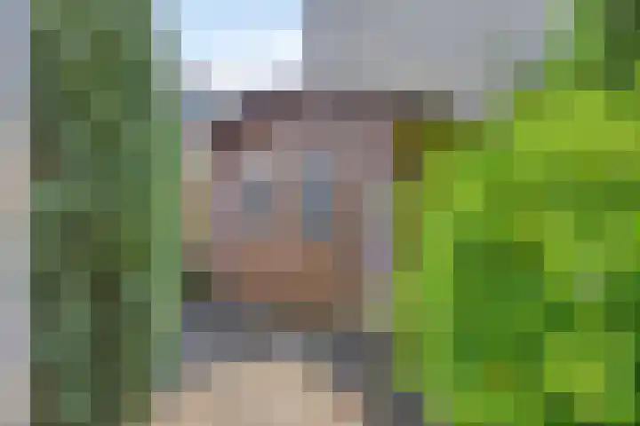 Penningkruidlaan 12 Enschede thumbnail 29