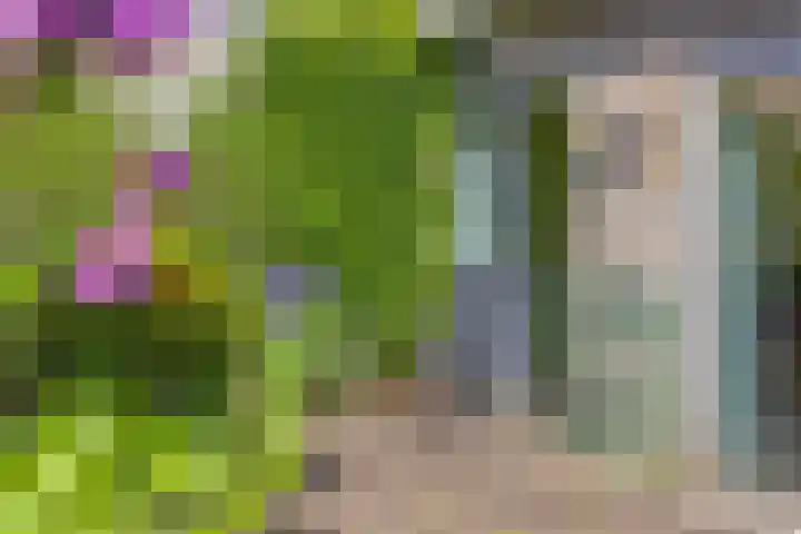 Penningkruidlaan 12 Enschede thumbnail 30