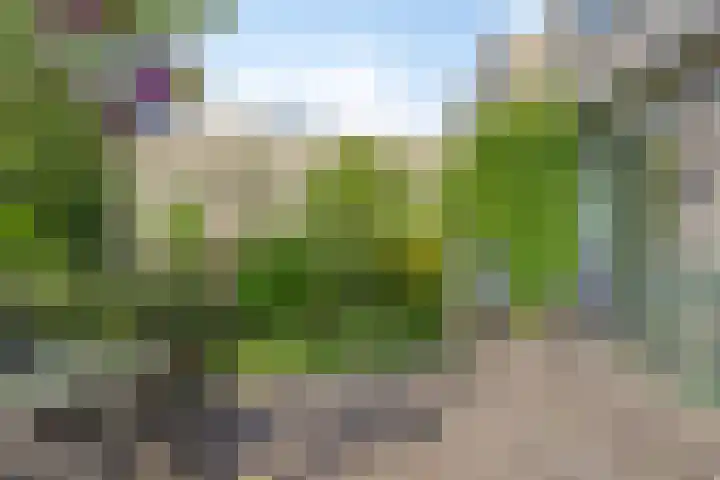 Penningkruidlaan 12 Enschede thumbnail 31
