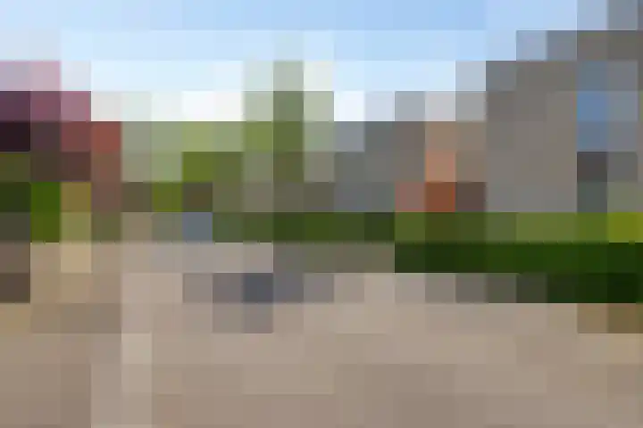 Penningkruidlaan 12 Enschede thumbnail 33