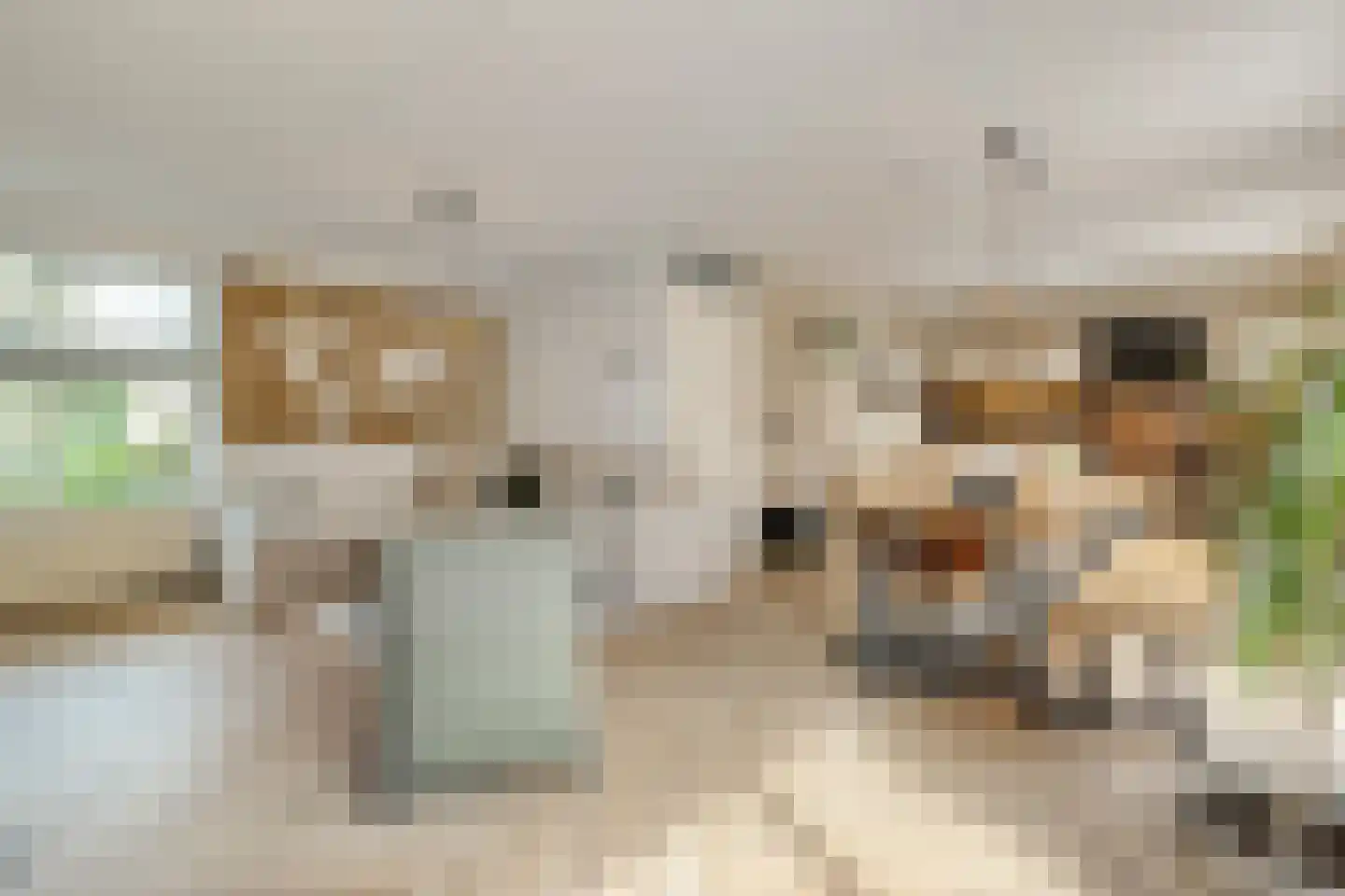 Penningkruidlaan 18 Enschede thumbnail 11