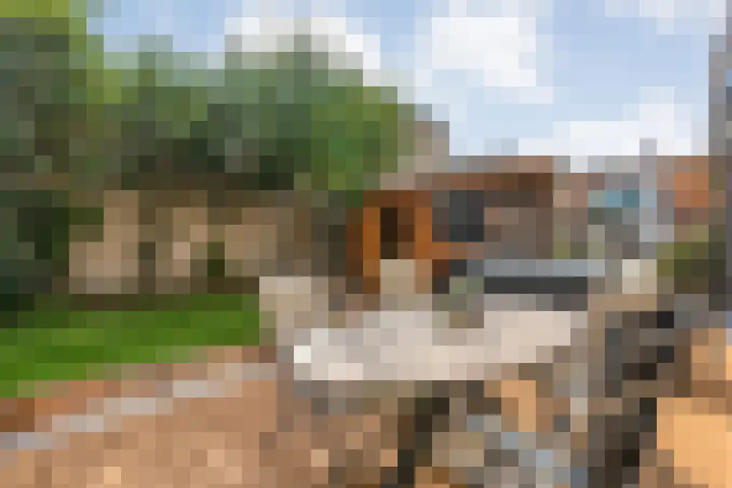 Penningkruidlaan 18 Enschede thumbnail 33