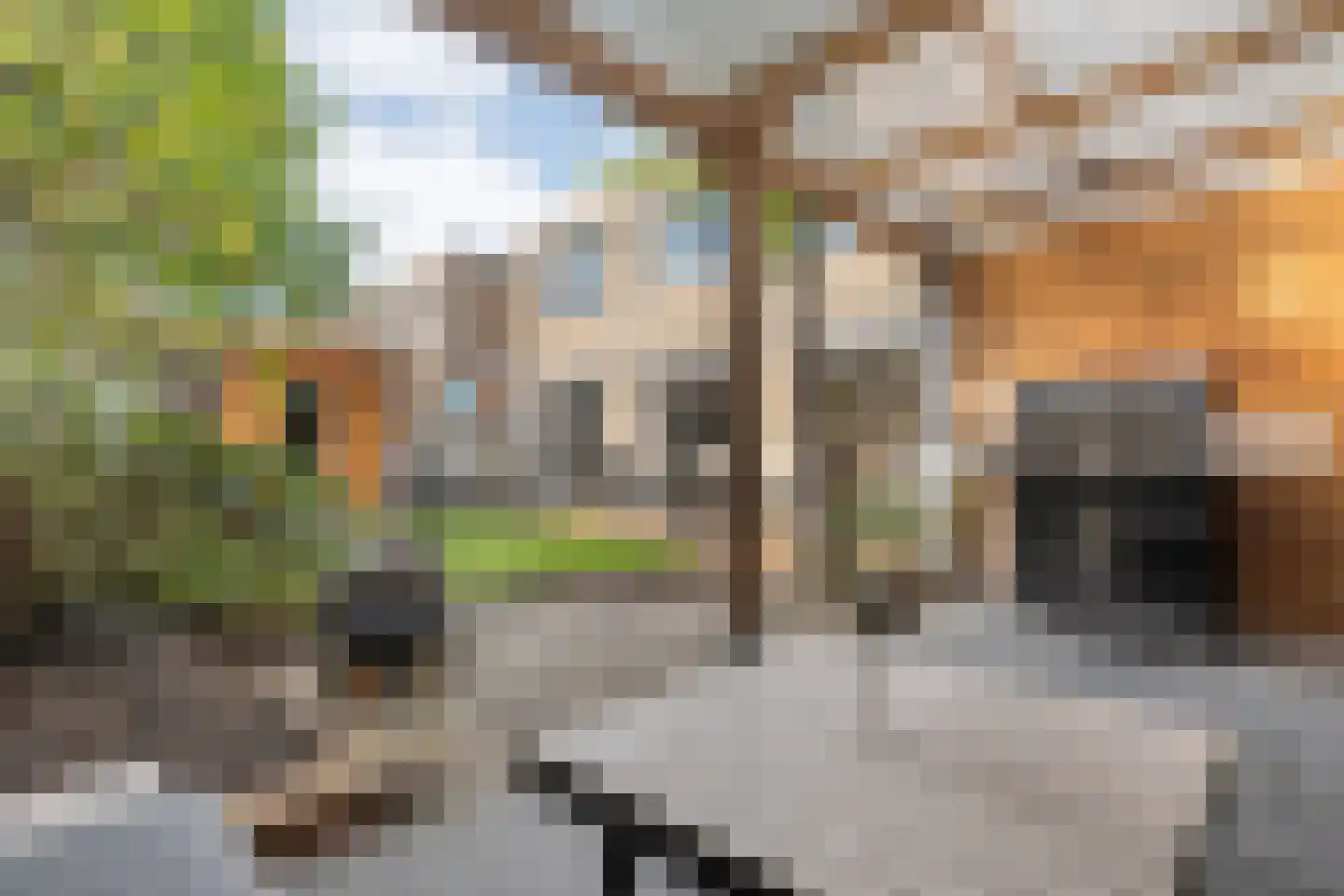 Penningkruidlaan 18 Enschede thumbnail 34