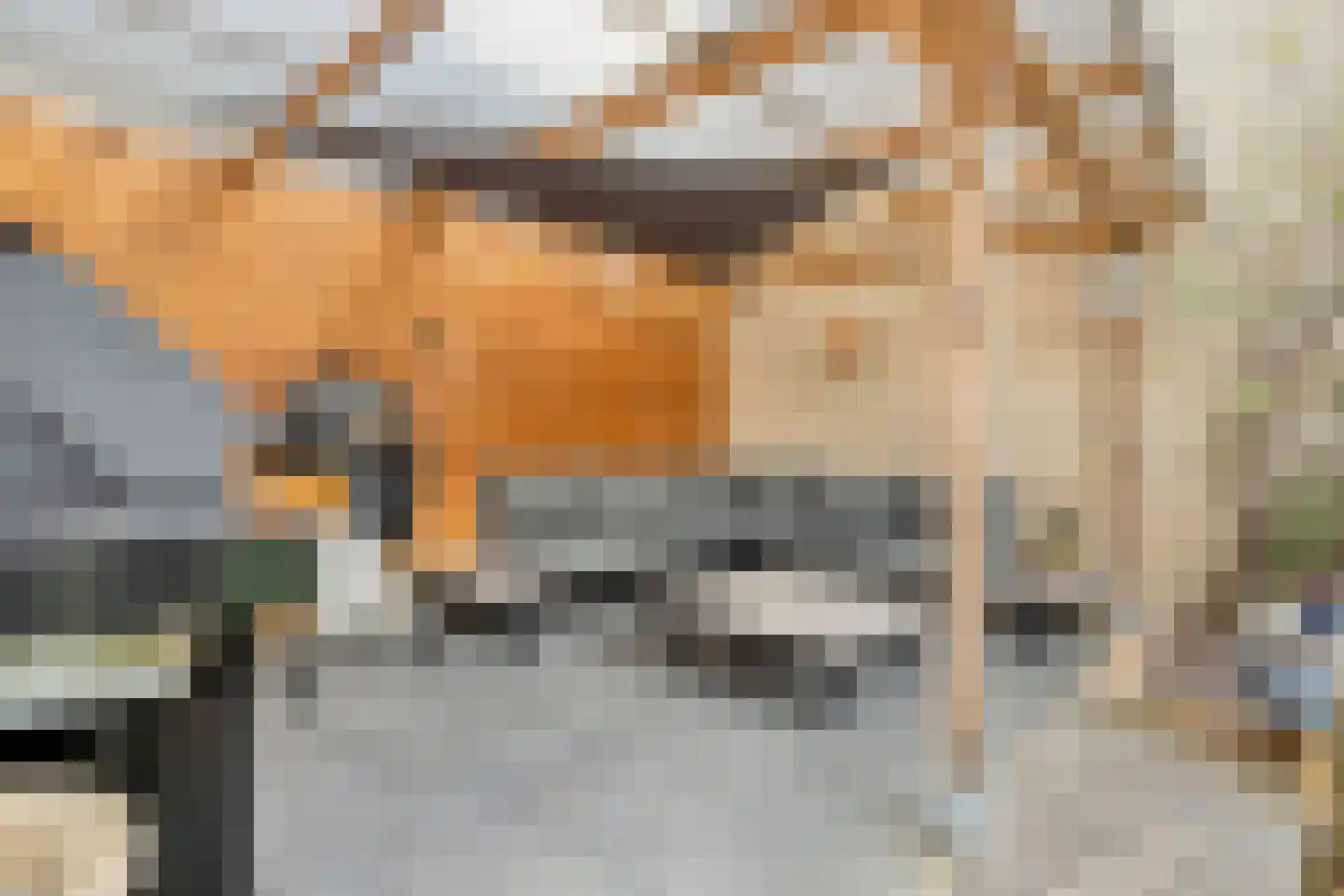 Penningkruidlaan 18 Enschede thumbnail 35