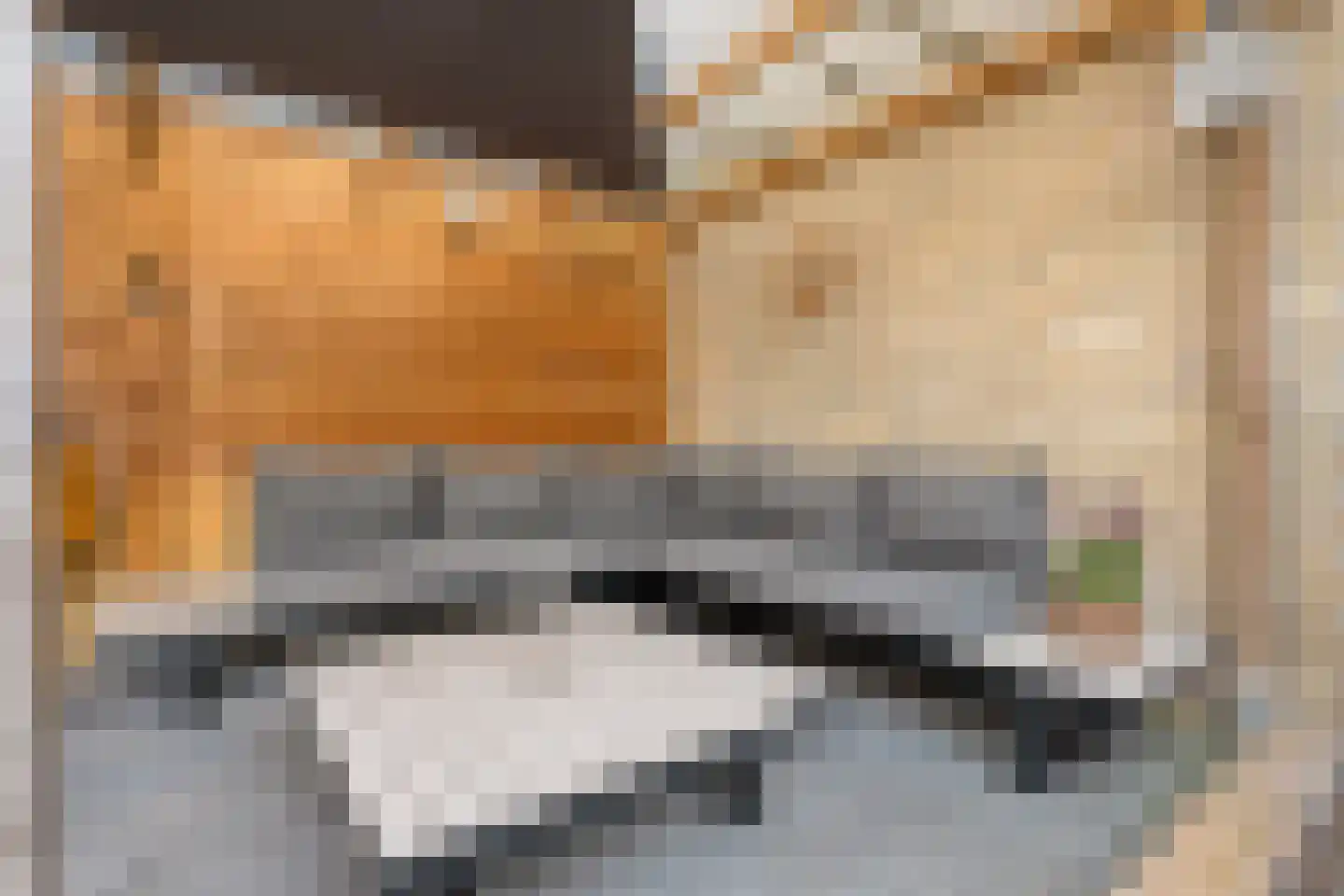 Penningkruidlaan 18 Enschede thumbnail 36