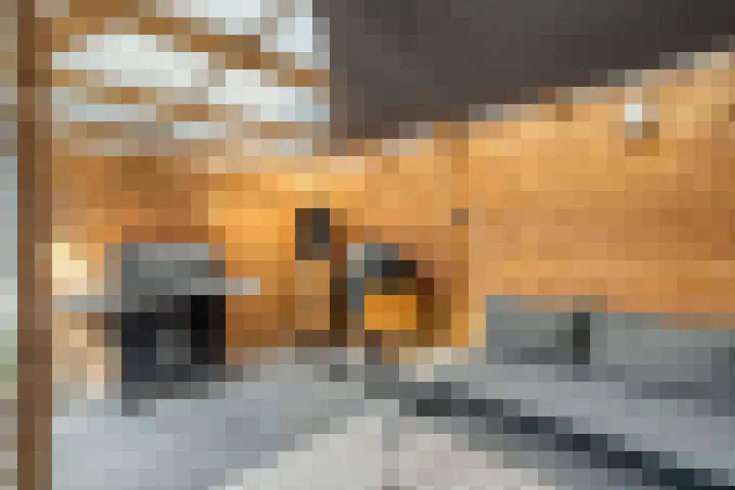 Penningkruidlaan 18 Enschede thumbnail 38