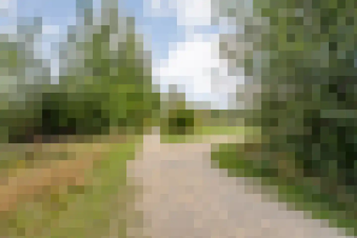 Penningkruidlaan 18 Enschede thumbnail 51