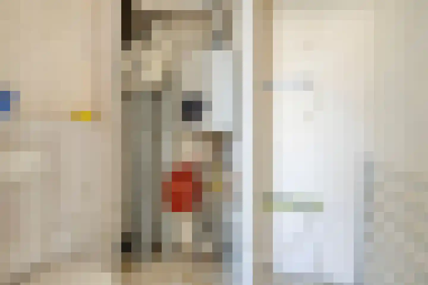Penningkruidlaan 7 Enschede thumbnail 21