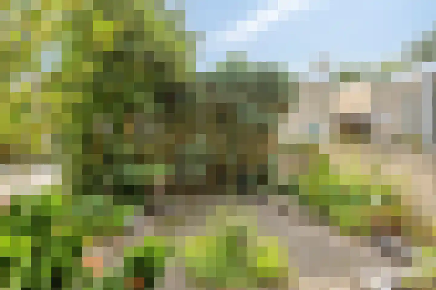 Penningkruidlaan 7 Enschede thumbnail 25