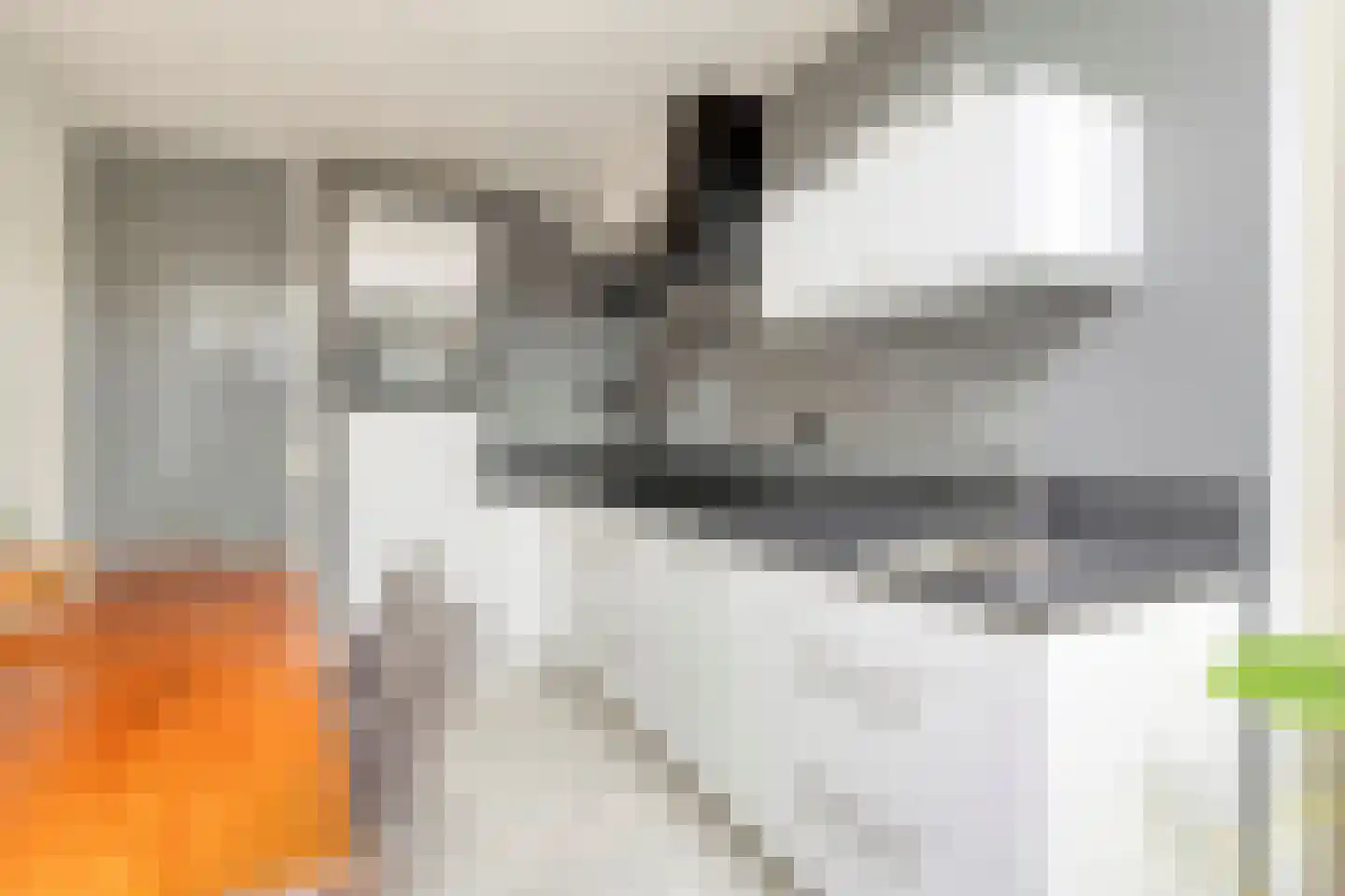 Penningkruidlaan 7 Enschede thumbnail 6