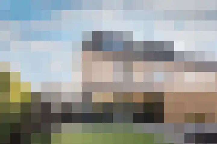 Penningkruidstraat 13 B Lelystad thumbnail 38