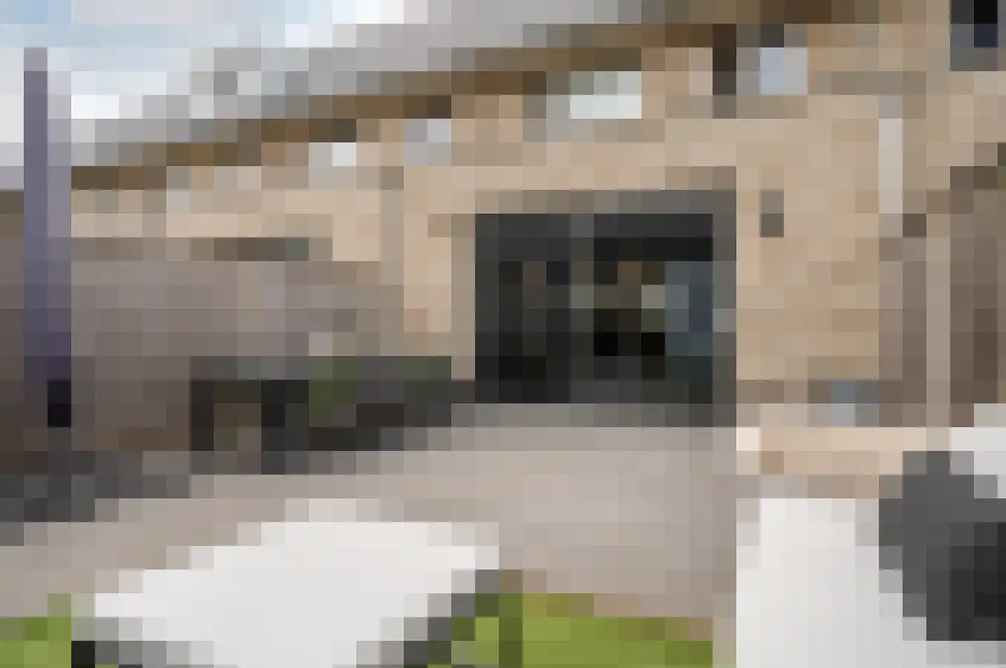 Penningkruidstraat 47 Lelystad thumbnail 30