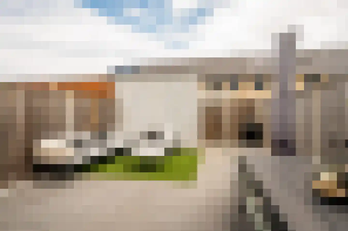 Penningkruidstraat 47 Lelystad thumbnail 33