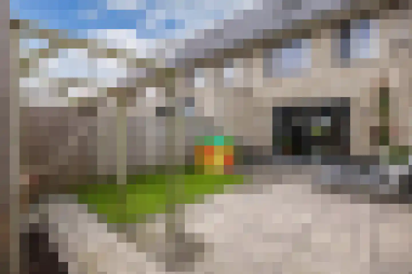 Penningkruidstraat 55 Lelystad thumbnail 49