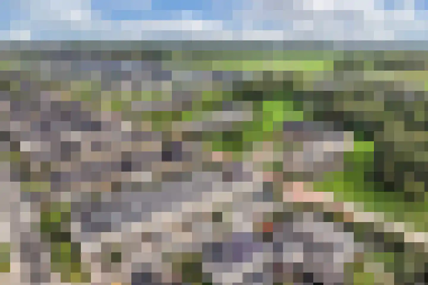 Penningkruidstraat 55 Lelystad thumbnail 8