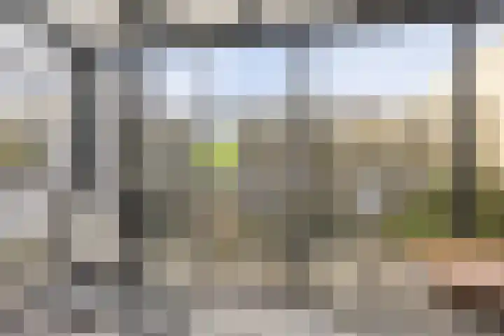 Penningkruidweg 54 Zwolle thumbnail 10