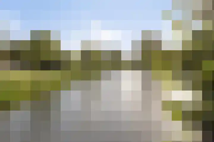 Penningkruidweg 54 Zwolle thumbnail 27