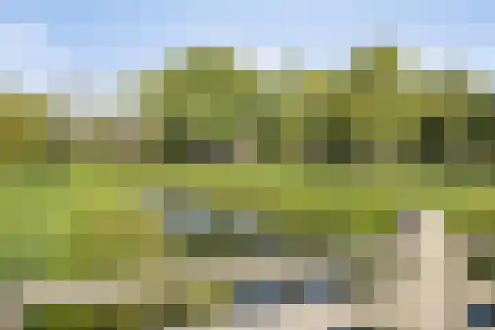 Penningkruidweg 54 Zwolle thumbnail 28