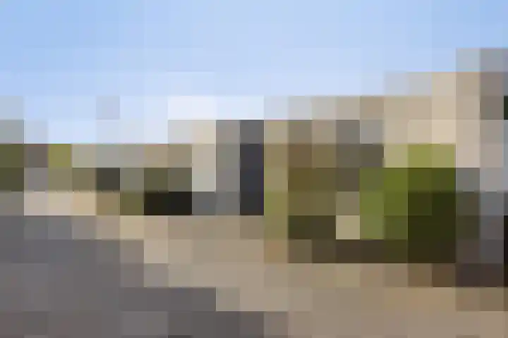 Penningkruidweg 54 Zwolle thumbnail 30