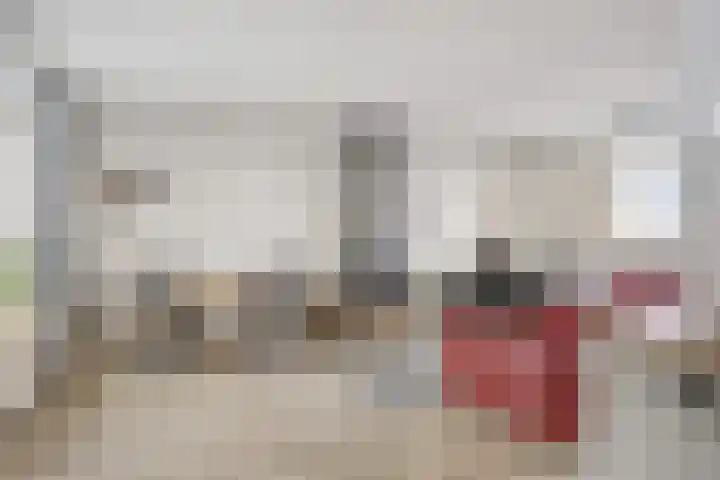 Penningkruidweg 54 Zwolle thumbnail 4