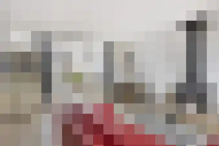 Penningkruidweg 54 Zwolle thumbnail 7