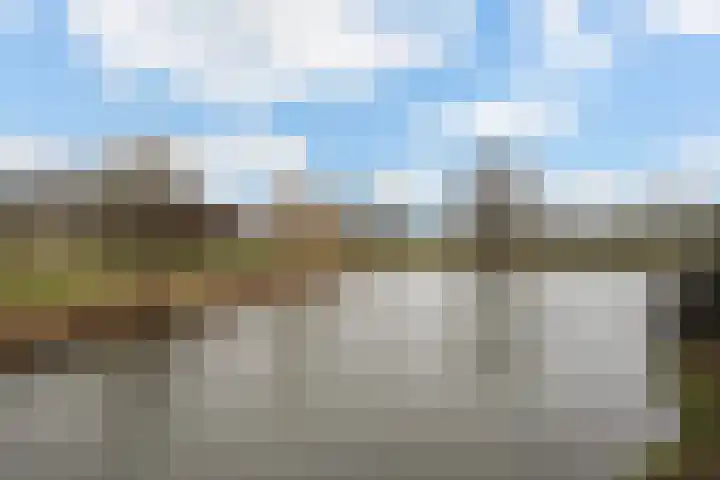 Penningkruidweg 56 Zwolle thumbnail 23
