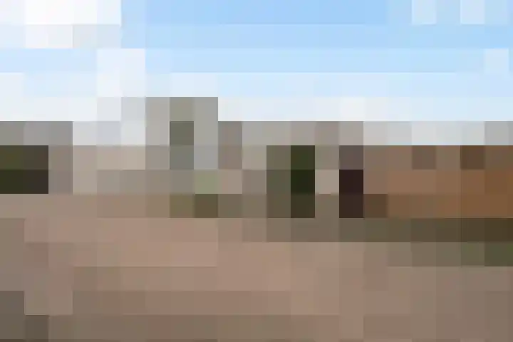 Penningkruidweg 56 Zwolle thumbnail 5
