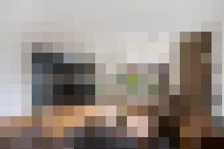 Penningkruidweg 56 Zwolle thumbnail 9