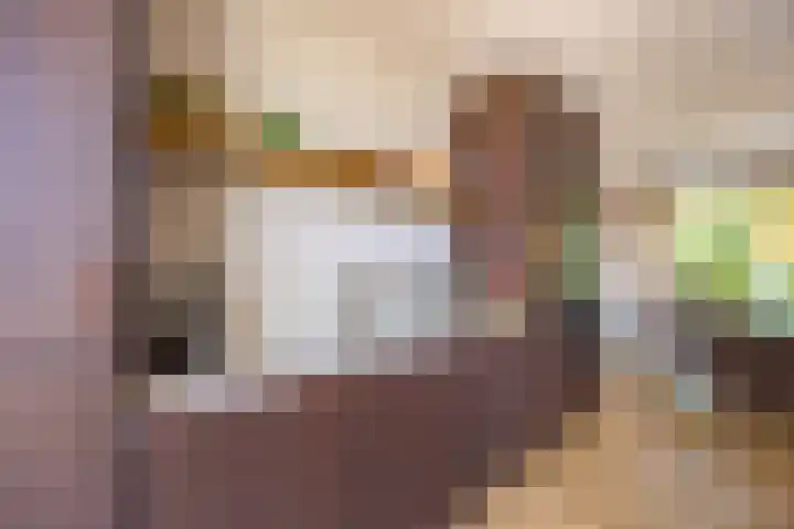 Penninglaan 28 Rijswijk thumbnail 10