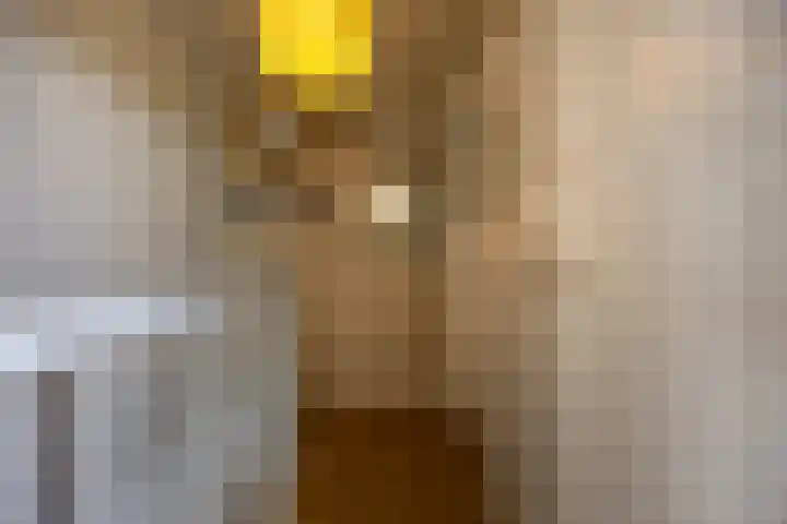 Penninglaan 28 Rijswijk thumbnail 22