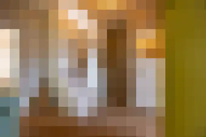 Penninglaan 28 Rijswijk thumbnail 25