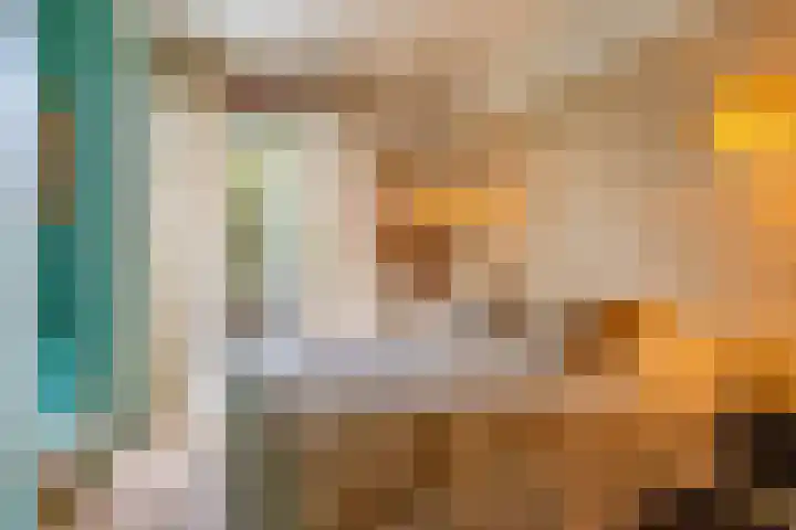 Penninglaan 28 Rijswijk thumbnail 27