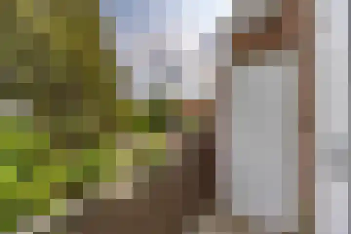 Penninglaan 28 Rijswijk thumbnail 28