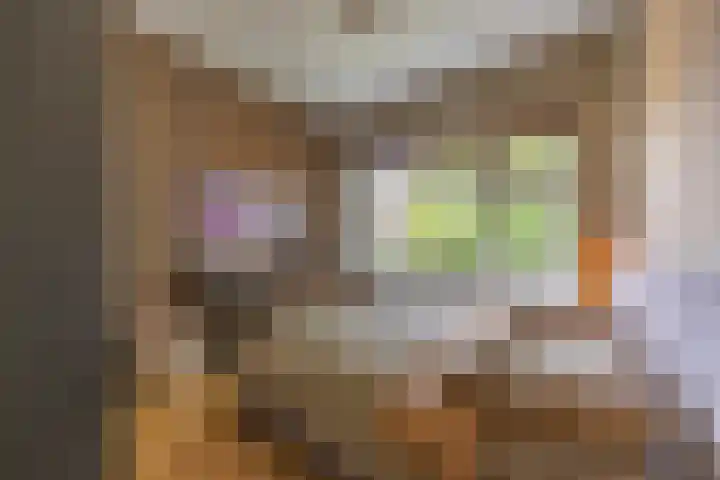 Penninglaan 28 Rijswijk thumbnail 32