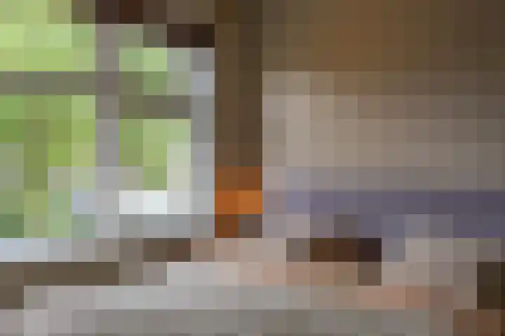 Penninglaan 28 Rijswijk thumbnail 33