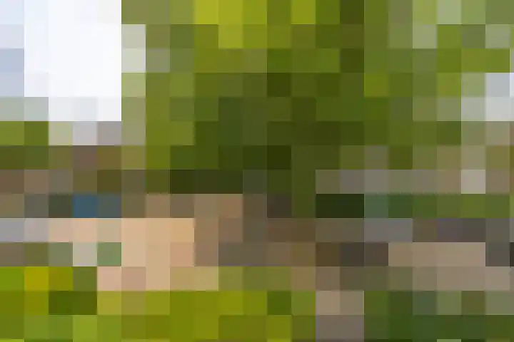 Penninglaan 28 Rijswijk thumbnail 35