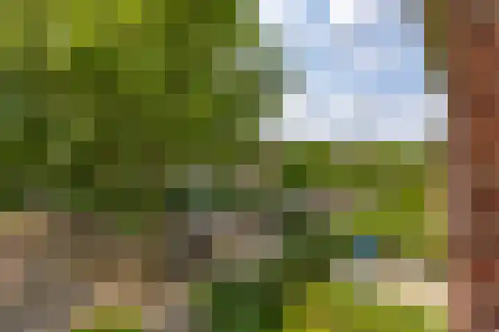 Penninglaan 28 Rijswijk thumbnail 36