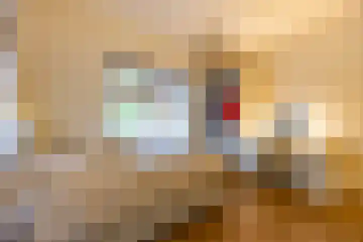 Penninglaan 28 Rijswijk thumbnail 38