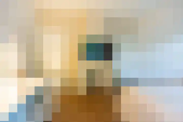 Penninglaan 28 Rijswijk thumbnail 39