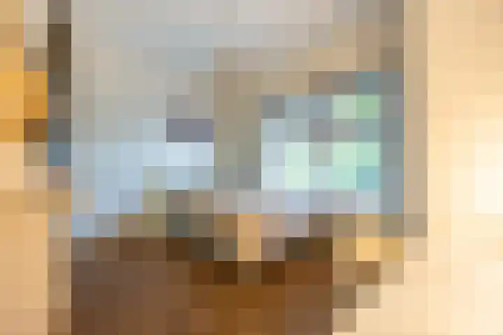 Penninglaan 28 Rijswijk thumbnail 40